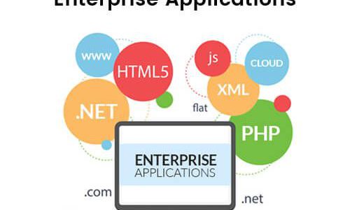 Enterprise web application development