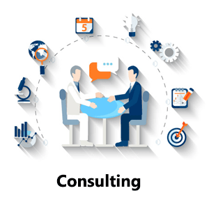 IT consulting