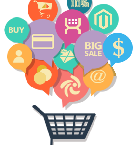 E-commerce Development